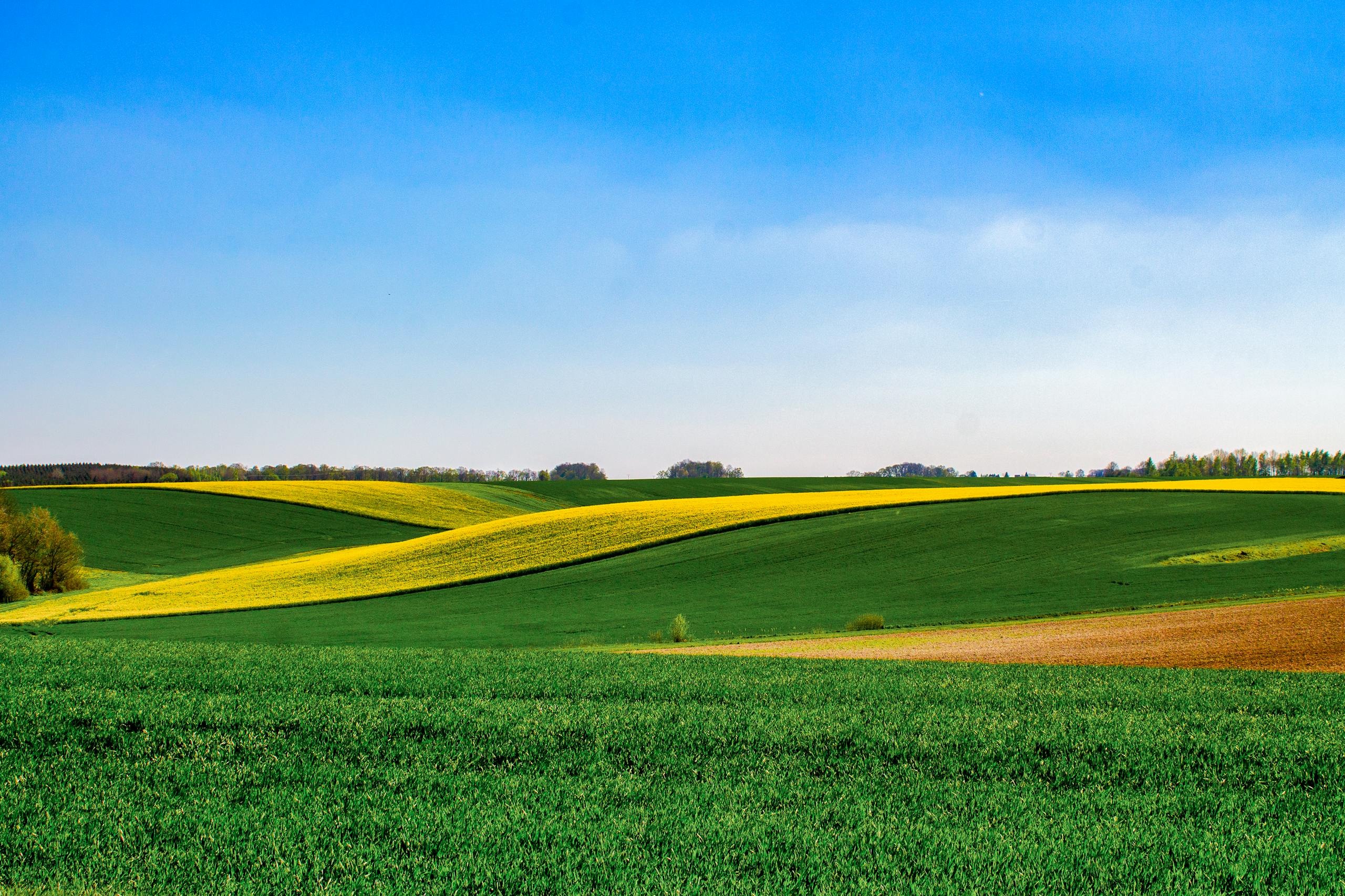 Green Field