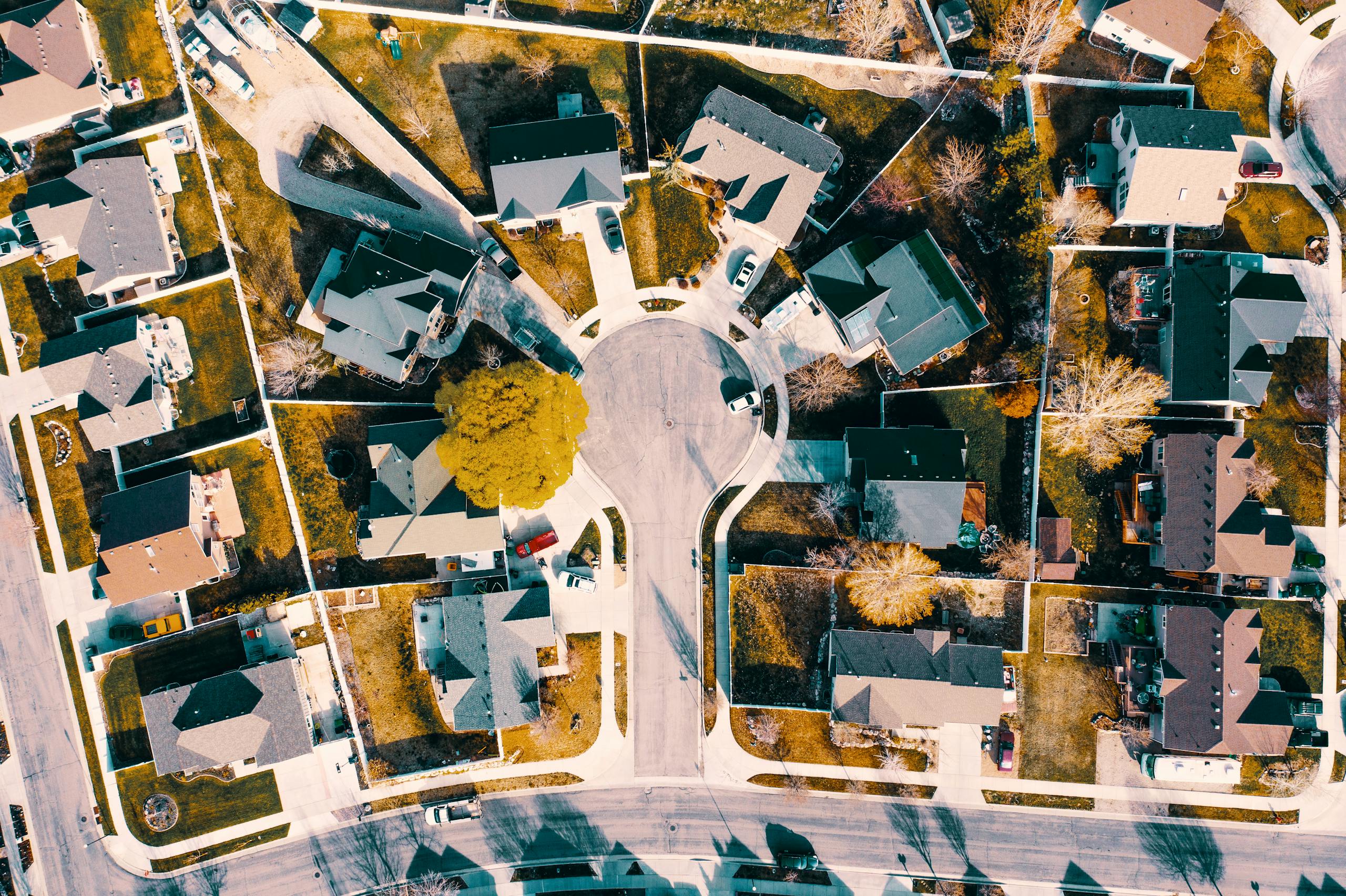 Houses Near Road